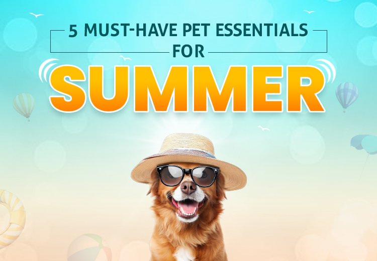 Pet Products for Summer- PetCareClub
